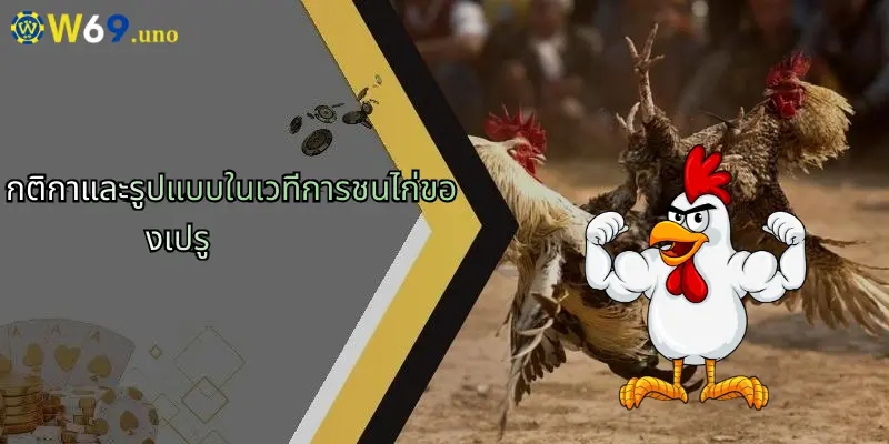 การชนไก่ของเปรู: เสน่ห์และกลยุทธ์แห่งโลกกีฬาเดิมพันกับ W69 2 กติกาและรูปแบบในเวทีการชนไก่ของเปรู