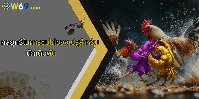 การชนไก่ของเปรู: เสน่ห์และกลยุทธ์แห่งโลกกีฬาเดิมพันกับ W69 3 กลยุทธ์ในการชนไก่ของเปรูสำหรับนักเดิมพัน