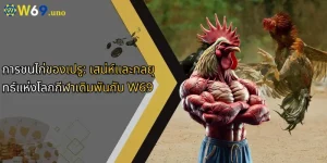 การชนไก่ของเปรู: เสน่ห์และกลยุทธ์แห่งโลกกีฬาเดิมพันกับ W69
