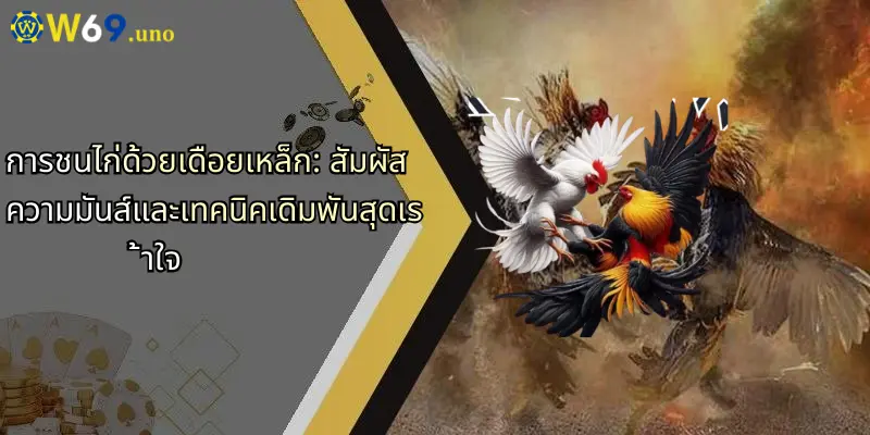 การชนไก่ด้วยเดือยเหล็ก: สัมผัสความมันส์และเทคนิคเดิมพันสุดเร้าใจ 1 การชนไก่ด้วยเดือยเหล็ก: สัมผัสความมันส์และเทคนิคเดิมพันสุดเร้าใจ