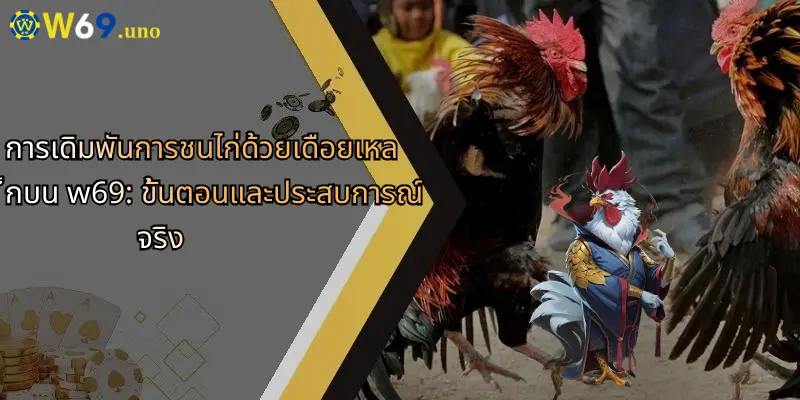 การชนไก่ด้วยเดือยเหล็ก: สัมผัสความมันส์และเทคนิคเดิมพันสุดเร้าใจ 4 การเดิมพันการชนไก่ด้วยเดือยเหล็กบน w69: ขั้นตอนและประสบการณ์จริง