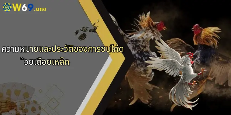 การชนไก่ด้วยเดือยเหล็ก: สัมผัสความมันส์และเทคนิคเดิมพันสุดเร้าใจ 2 ความหมายและประวัติของการชนไก่ด้วยเดือยเหล็ก
