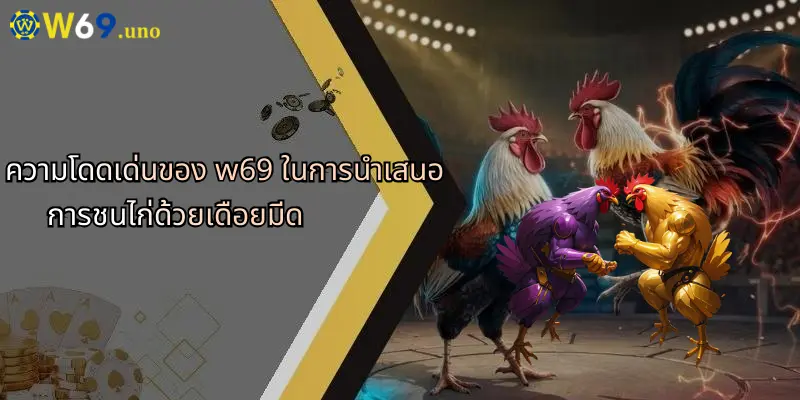 การชนไก่ด้วยเดือยมีด: ศาสตร์การเดิมพันแนวใหม่กับประสบการณ์พิเศษใน W69 4 ความโดดเด่นของ w69 ในการนำเสนอการชนไก่ด้วยเดือยมีด