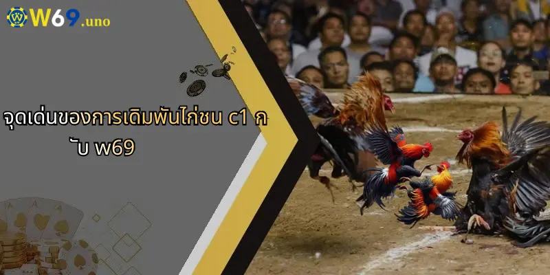 ไก่ชน C1: สนุกกับการเดิมพันออนไลน์และประสบการณ์ใหม่ที่ W69 2 จุดเด่นของการเดิมพันไก่ชน c1 กับ w69