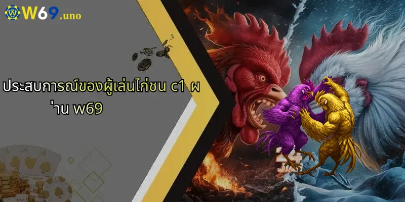 ไก่ชน C1: สนุกกับการเดิมพันออนไลน์และประสบการณ์ใหม่ที่ W69 4 ประสบการณ์ของผู้เล่นไก่ชน c1 ผ่าน w69