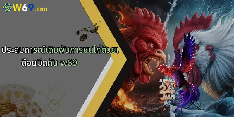 การชนไก่ด้วยเดือยมีด: ศาสตร์การเดิมพันแนวใหม่กับประสบการณ์พิเศษใน W69 2 ประสบการณ์เดิมพันการชนไก่ด้วยเดือยมีดกับ w69