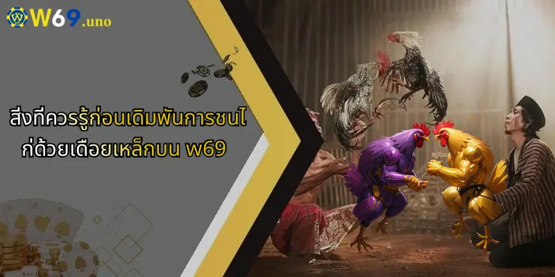 การชนไก่ด้วยเดือยเหล็ก: สัมผัสความมันส์และเทคนิคเดิมพันสุดเร้าใจ 3 สิ่งที่ควรรู้ก่อนเดิมพันการชนไก่ด้วยเดือยเหล็กบน w69