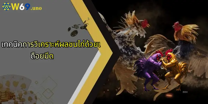 การชนไก่ด้วยเดือยมีด: ศาสตร์การเดิมพันแนวใหม่กับประสบการณ์พิเศษใน W69 3 เทคนิคการวิเคราะห์ผลชนไก่ด้วยเดือยมีด