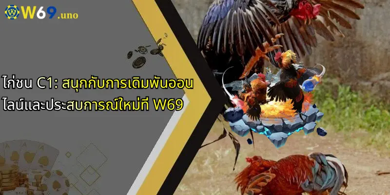 ไก่ชน C1: สนุกกับการเดิมพันออนไลน์และประสบการณ์ใหม่ที่ W69 1 ไก่ชน C1: สนุกกับการเดิมพันออนไลน์และประสบการณ์ใหม่ที่ W69